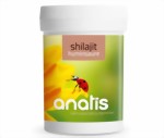 Shilajit Humins�ure Mumijo